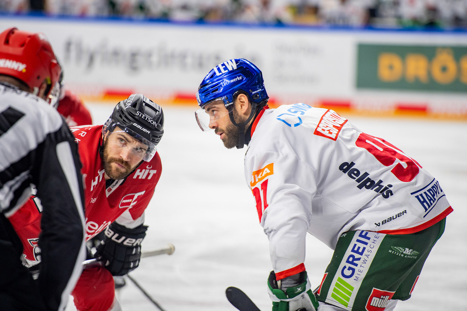 Luke Esposito; DEL Kölner Haie - Augsburger Panther, 19.11.2023