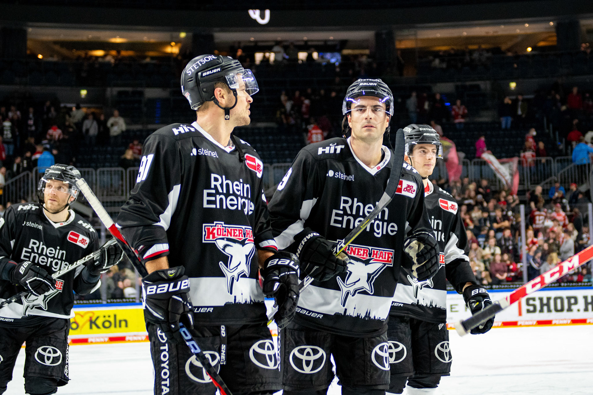 Koelner Haie; DEL Kölner Haie - Bremerhaven Fischtown Pinguins, 01.11.2023