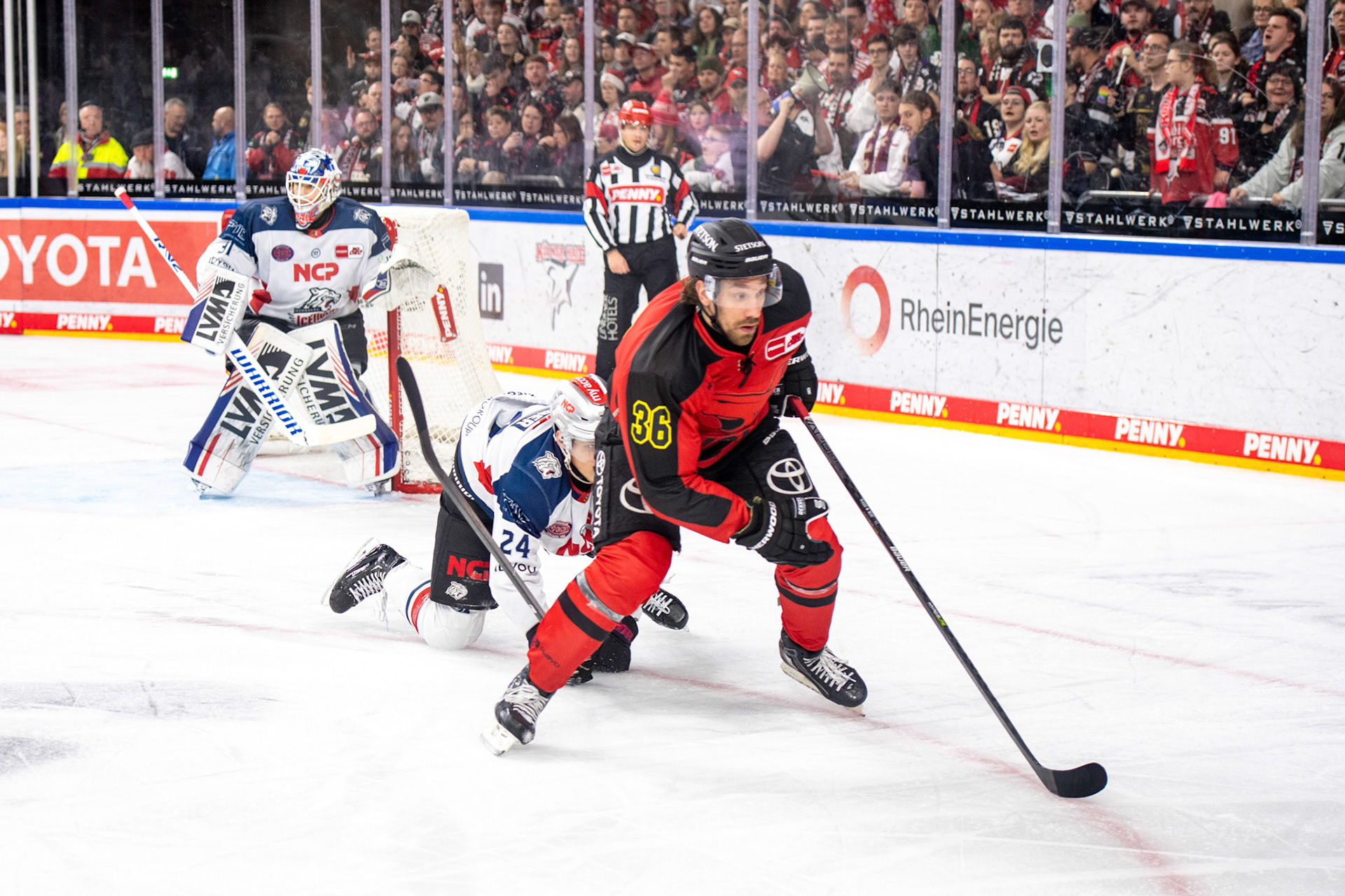 Andreas Thuresson; DEL Kölner Haie - Nürnberg Ice Tigers, 17.12.2023