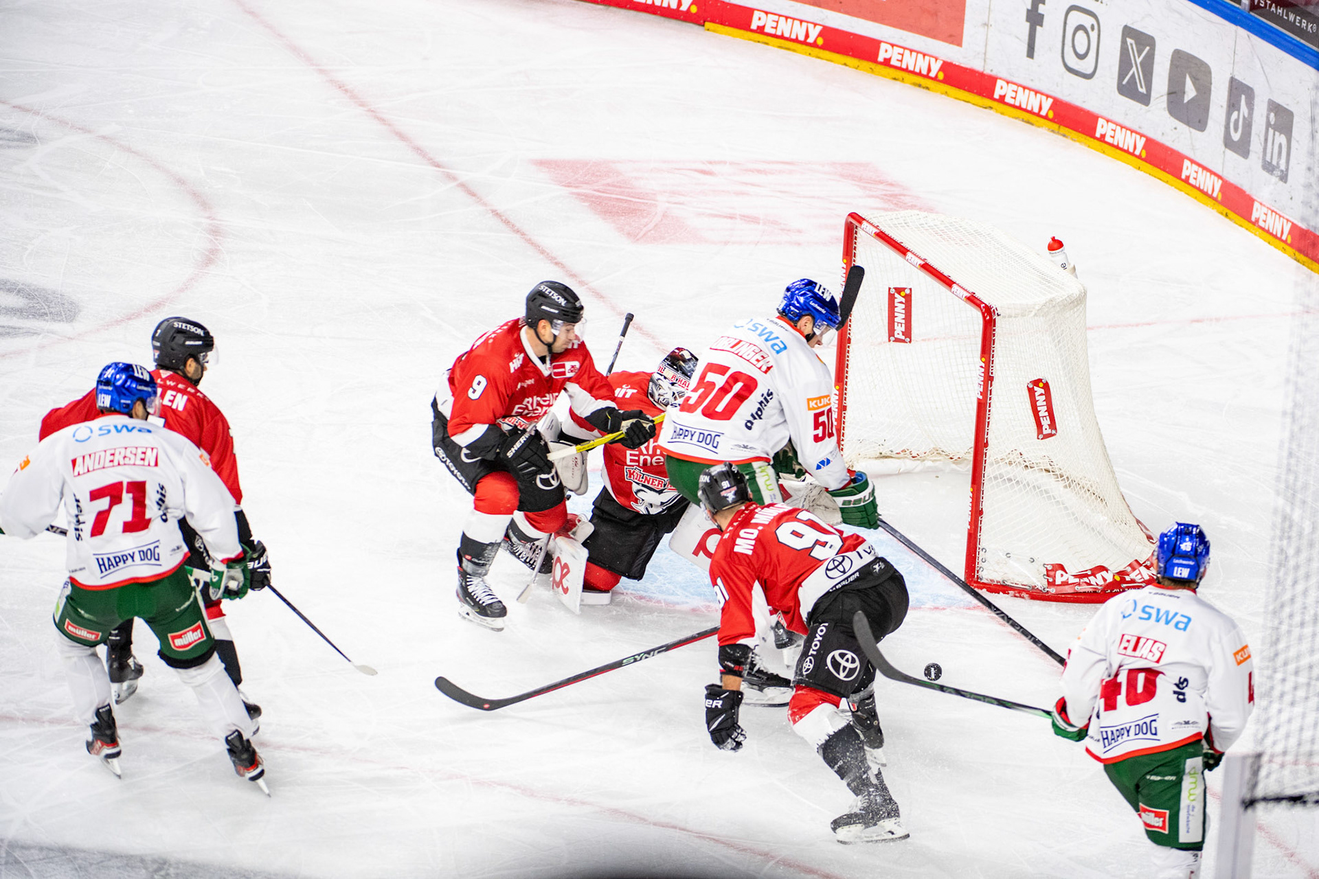 Koelner Haie; DEL Kölner Haie - Augsburger Panther, 19.11.2023