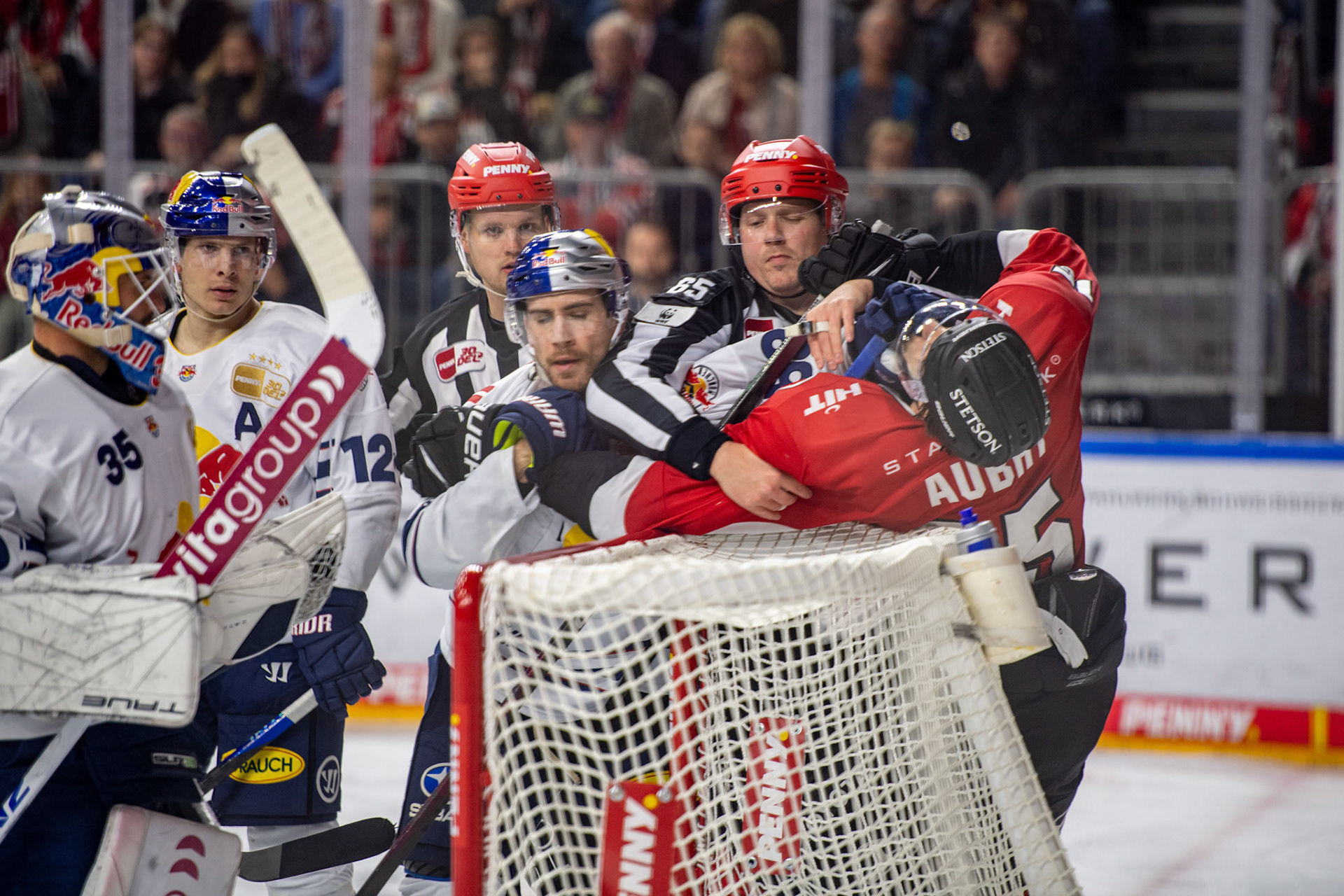 Louis Marc Aubry im Kampf; DEL Kölner Haie - EHC Red Bull München, 27.10.2023