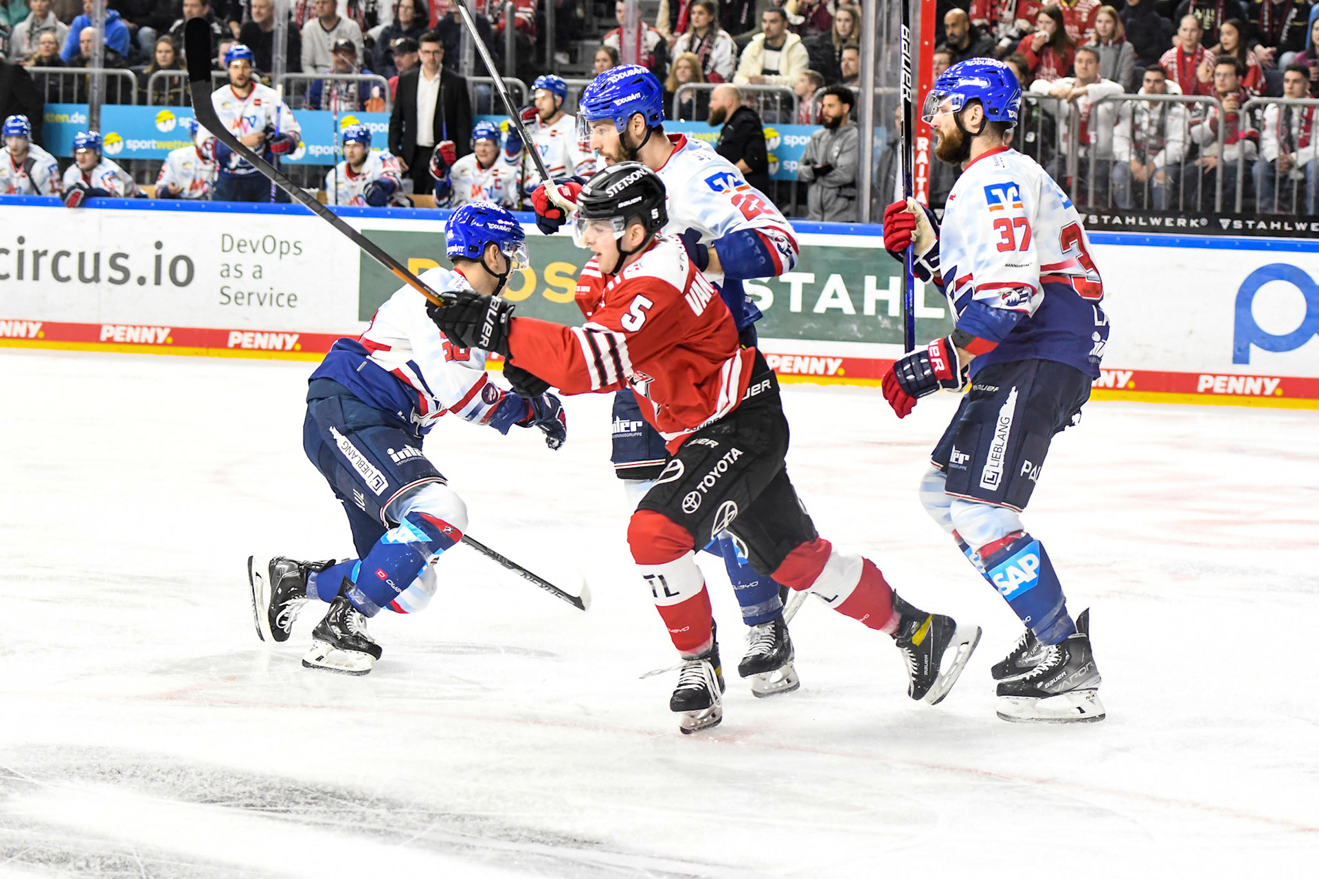 Robin van Calster; DEL Kölner Haie - Adler Mannheim, 17.03.2023