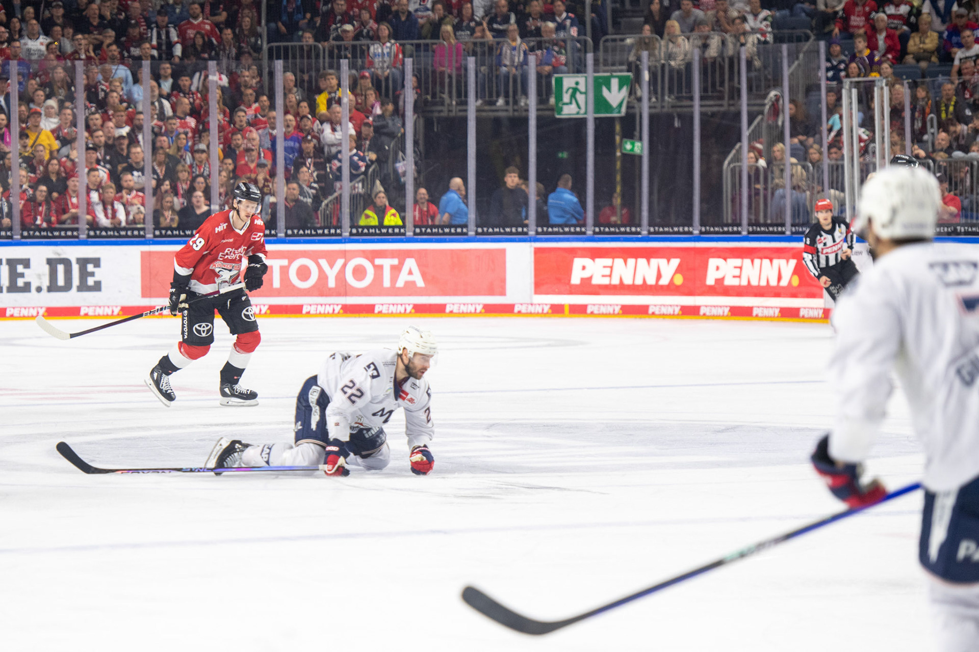 Matthias Plachta; DEL Kölner Haie - Adler Mannheim, 30.09.2023