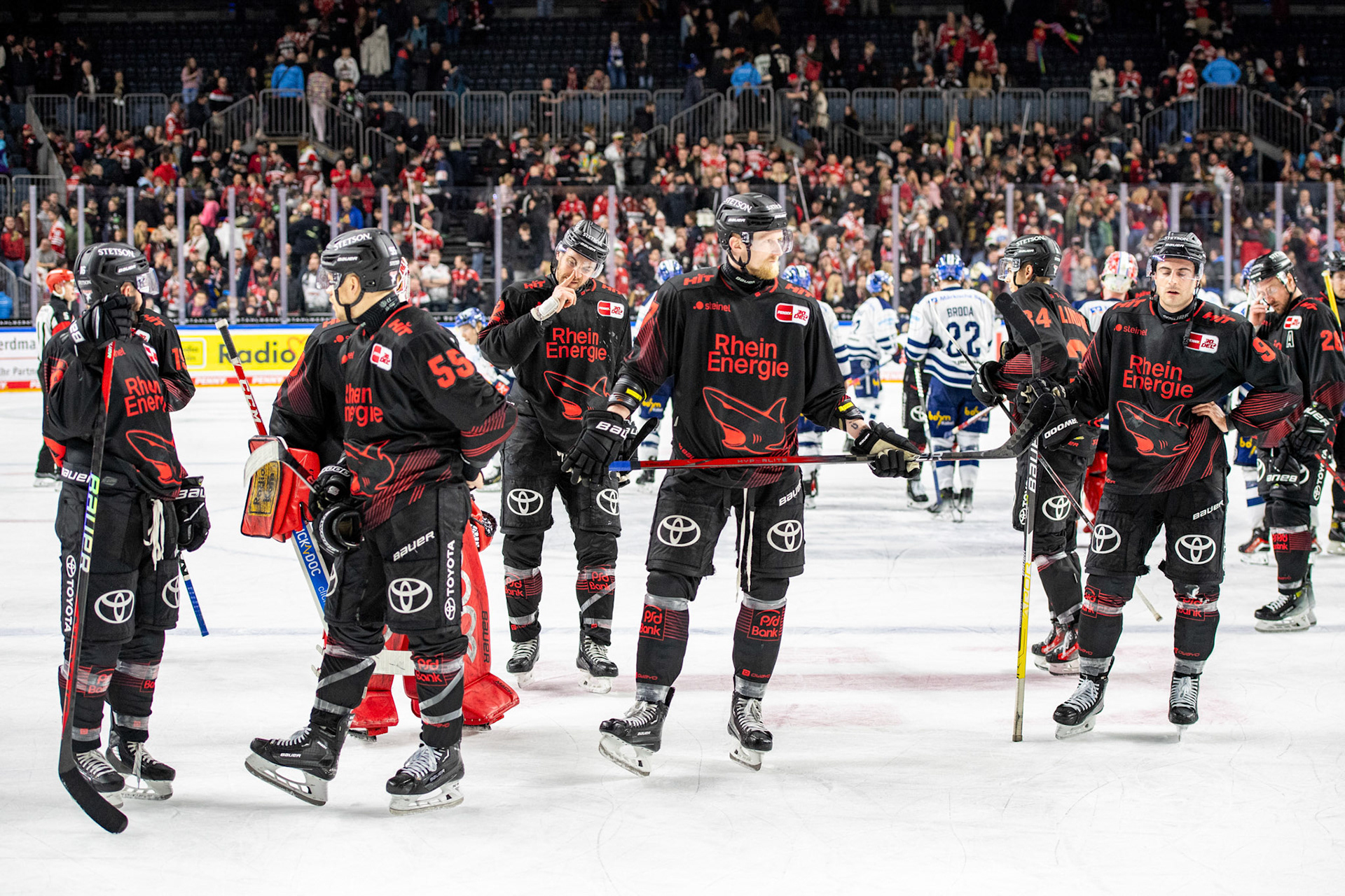Enttäuschte Kölner Haie nach der Niederlage gegen die Iserlohn Roosters; DEL Kölner Haie - Iserlohn Roosters, 13.02.2024