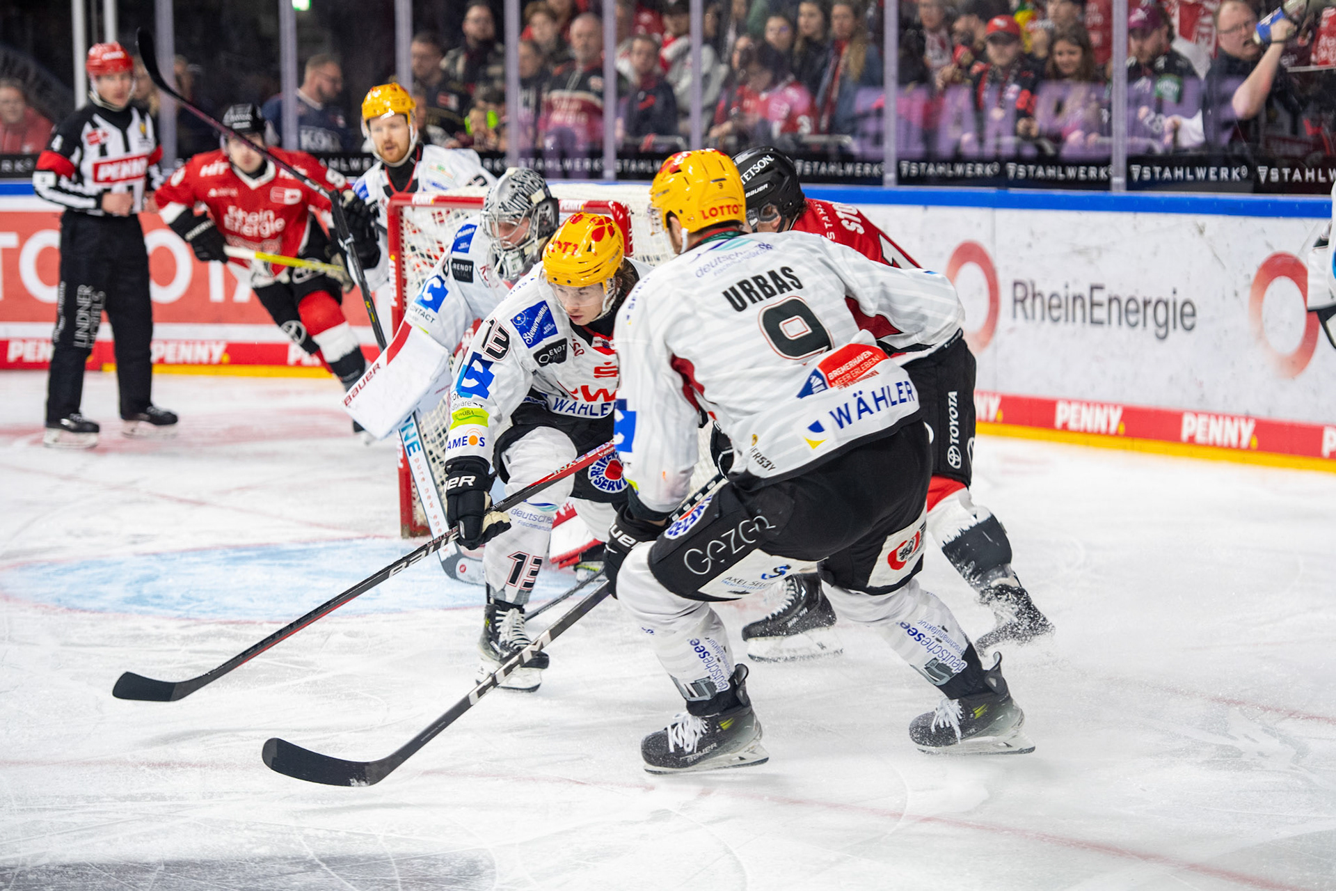 Jan Urbas, Ziga Jeglic, Stanislav Dietz; DEL Kölner Haie - Fishtown Pinguins Bremerhaven, 30.01.2024