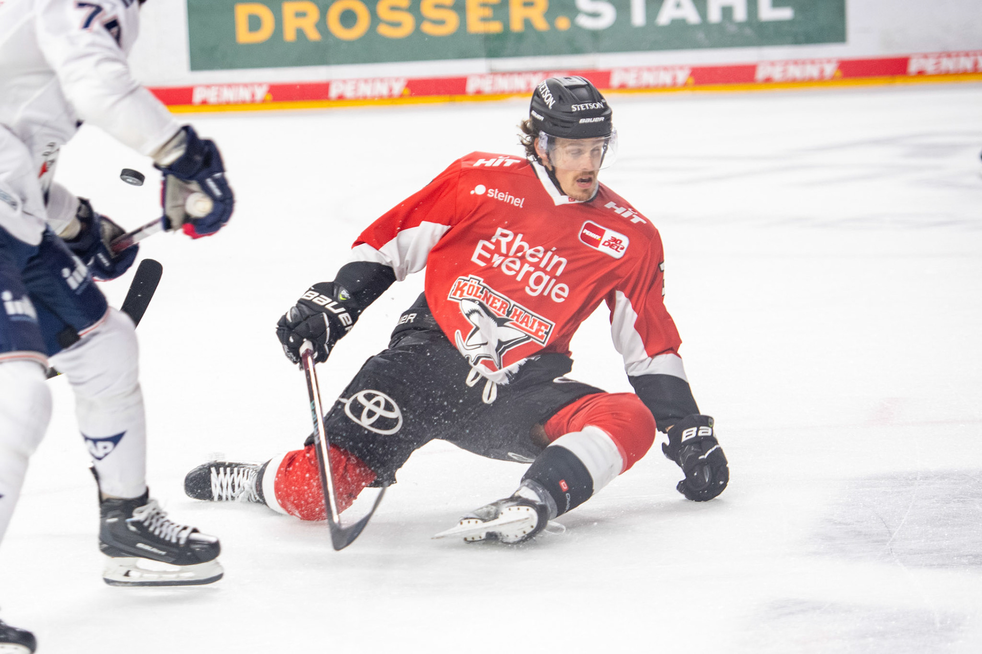 Andreas Thuresson; DEL Kölner Haie - Adler Mannheim, 30.09.2023