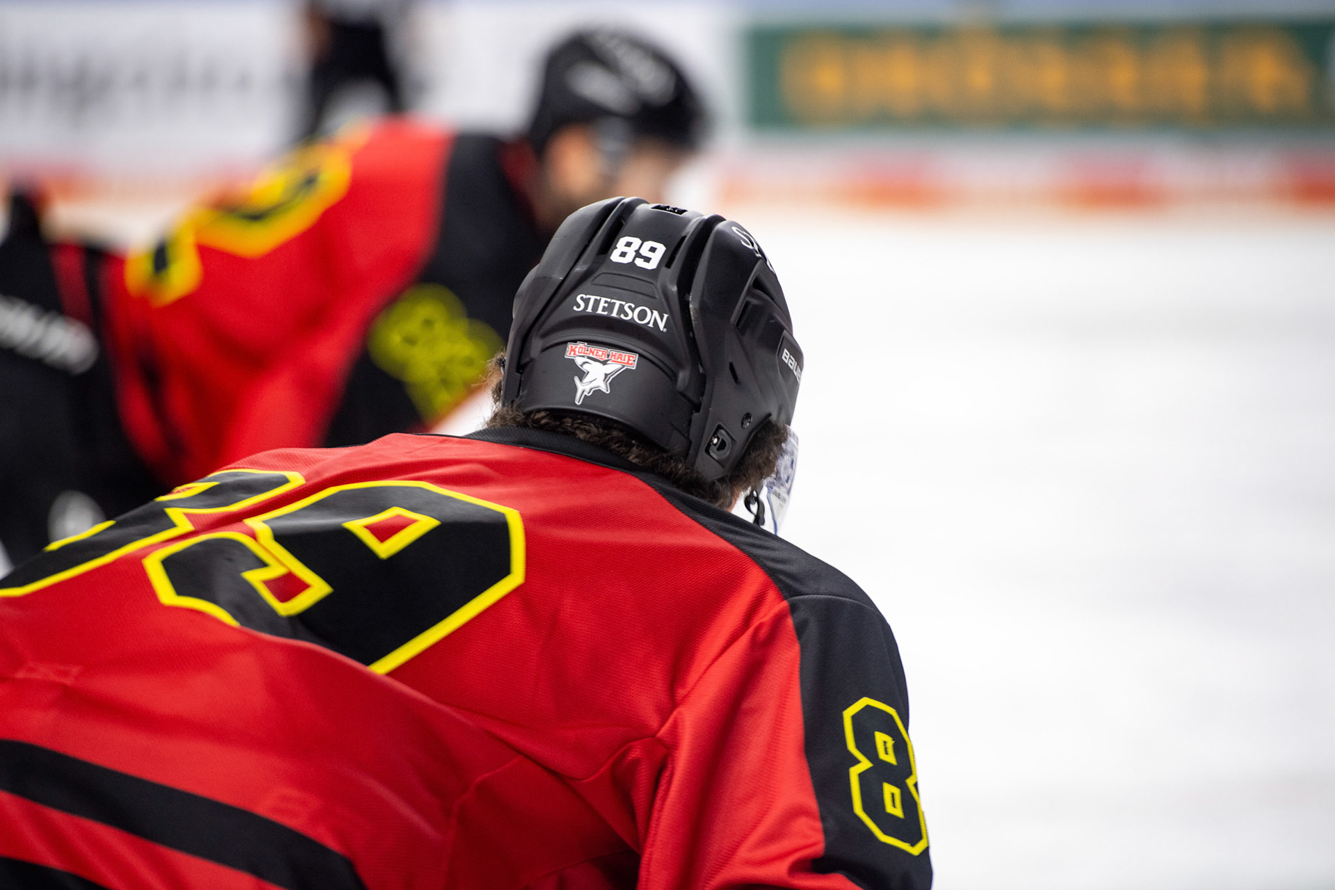 Gregor Macleod; DEL Kölner Haie - Nürnberg Ice Tigers, 17.12.2023