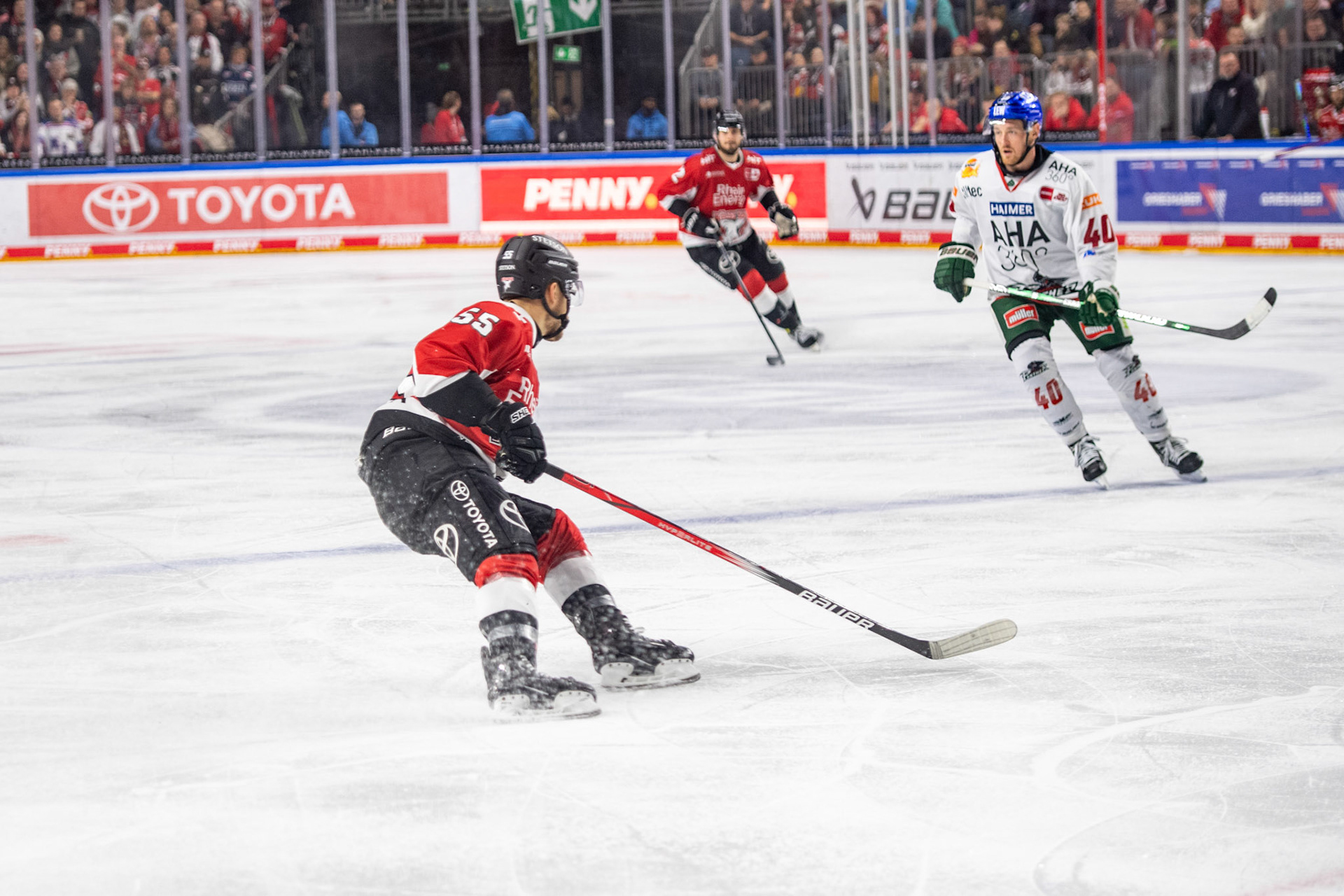 Carter Proft; DEL Kölner Haie - Augsburger Panther, 19.11.2023