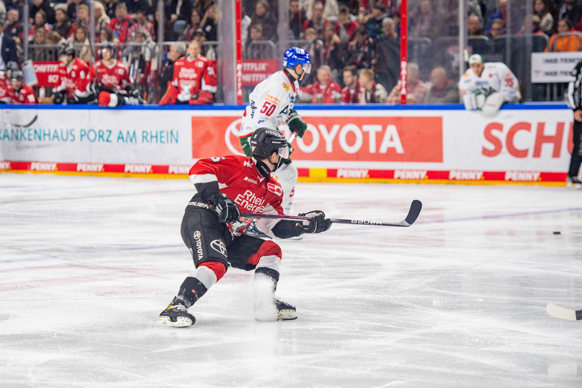 Koelner Haie; DEL Kölner Haie - Augsburger Panther, 19.11.2023