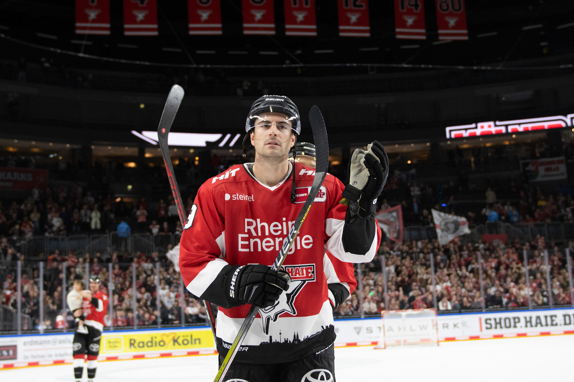 Koelner Haie; DEL Kölner Haie - Augsburger Panther, 19.11.2023