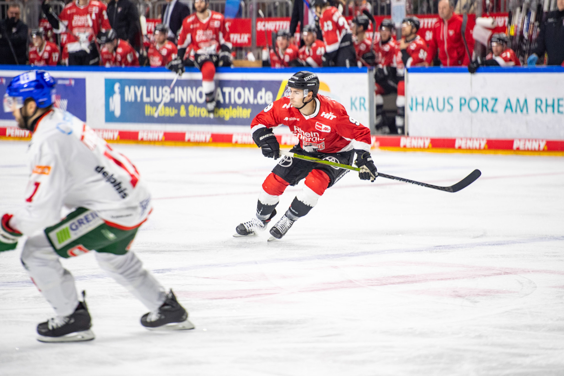 Maximilian Kammerer; DEL Kölner Haie - Augsburger Panther, 19.11.2023