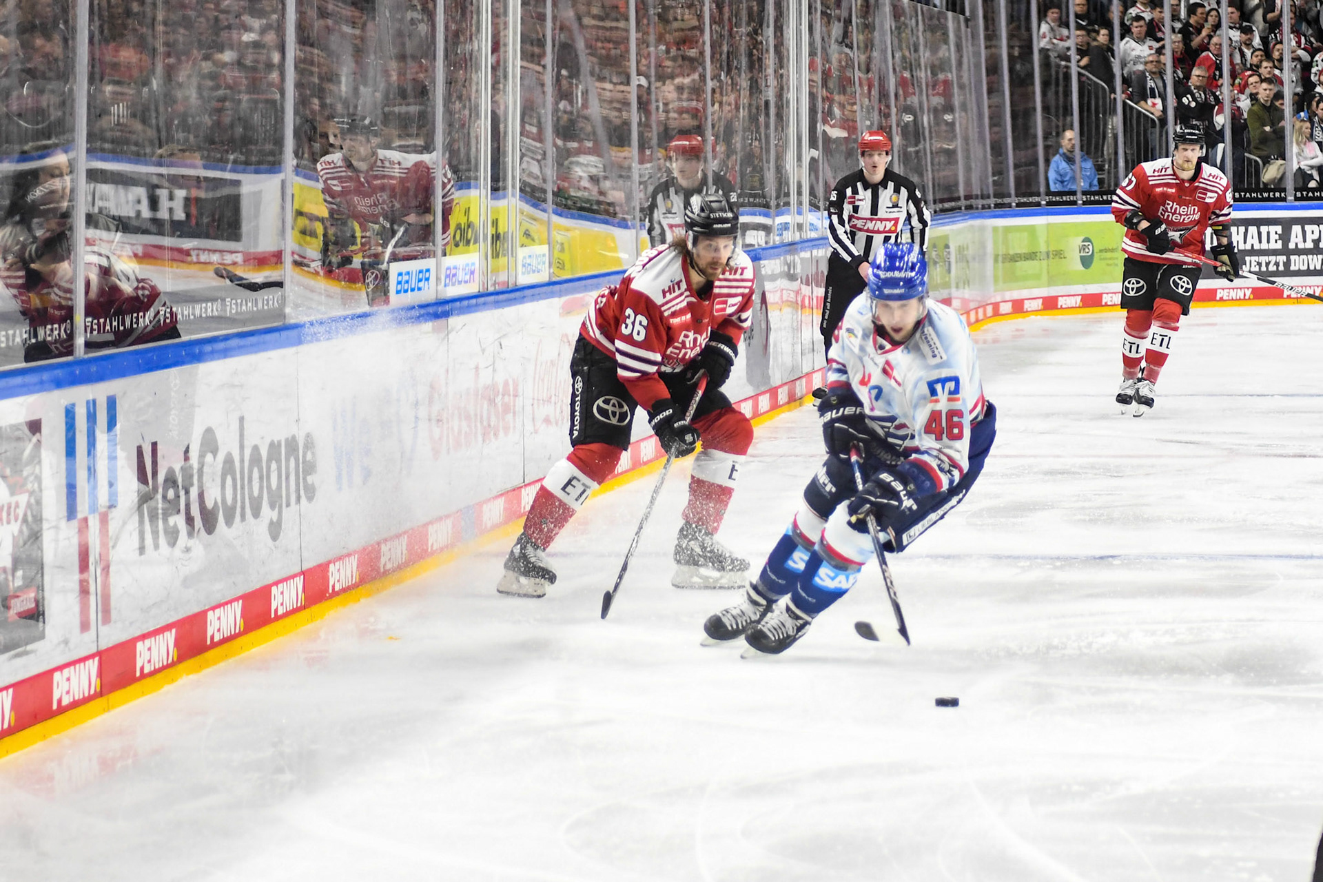 Matt Donovan; DEL Kölner Haie - Adler Mannheim, 17.03.2023