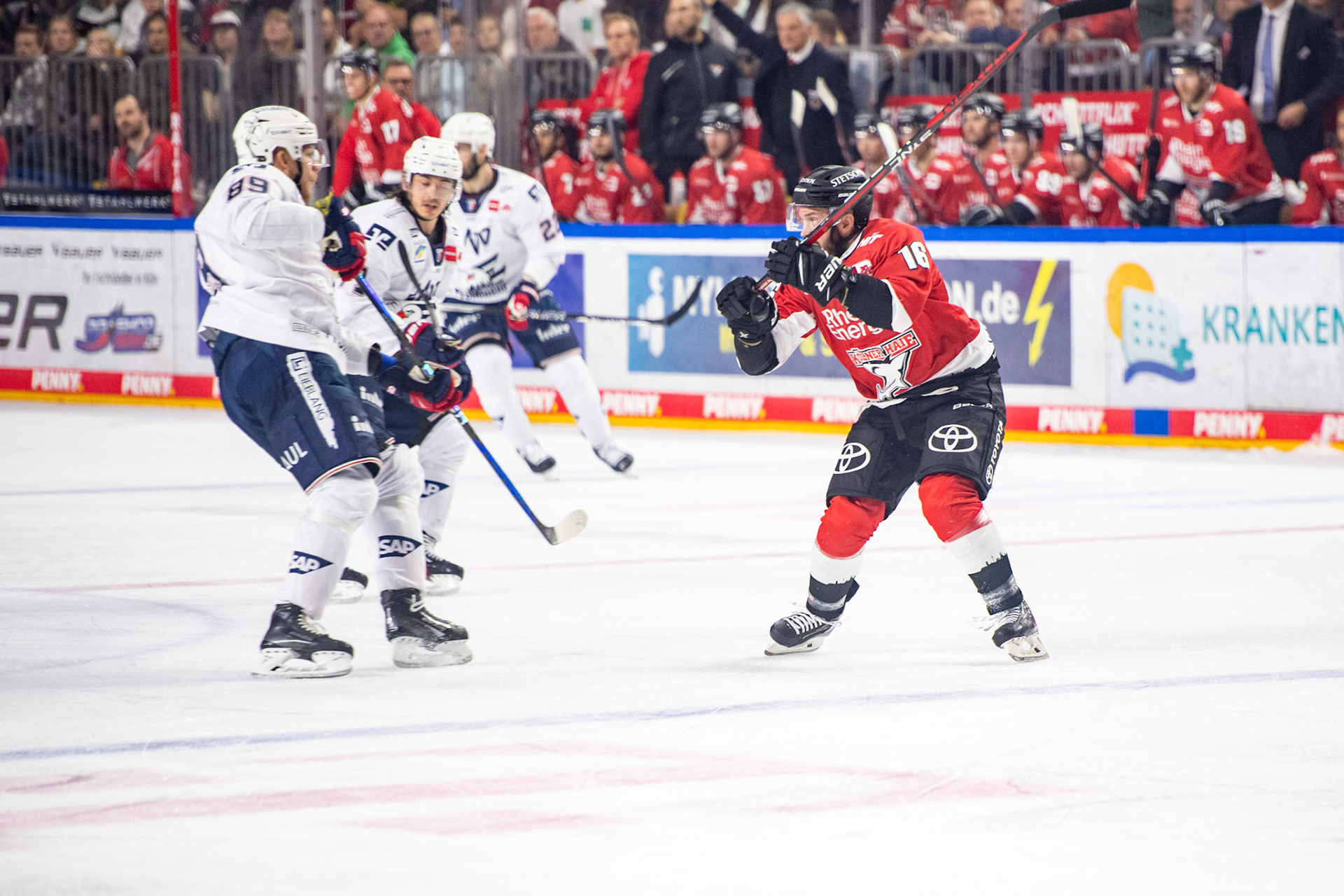 Jason Bast; DEL Kölner Haie - Adler Mannheim, 30.09.2023