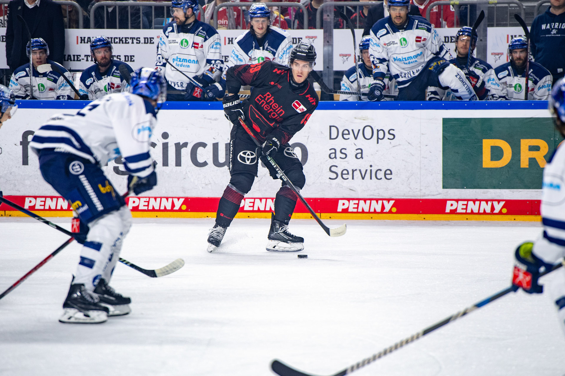 Gregor Macleod; DEL Kölner Haie - Iserlohn Roosters, 02.01.2024