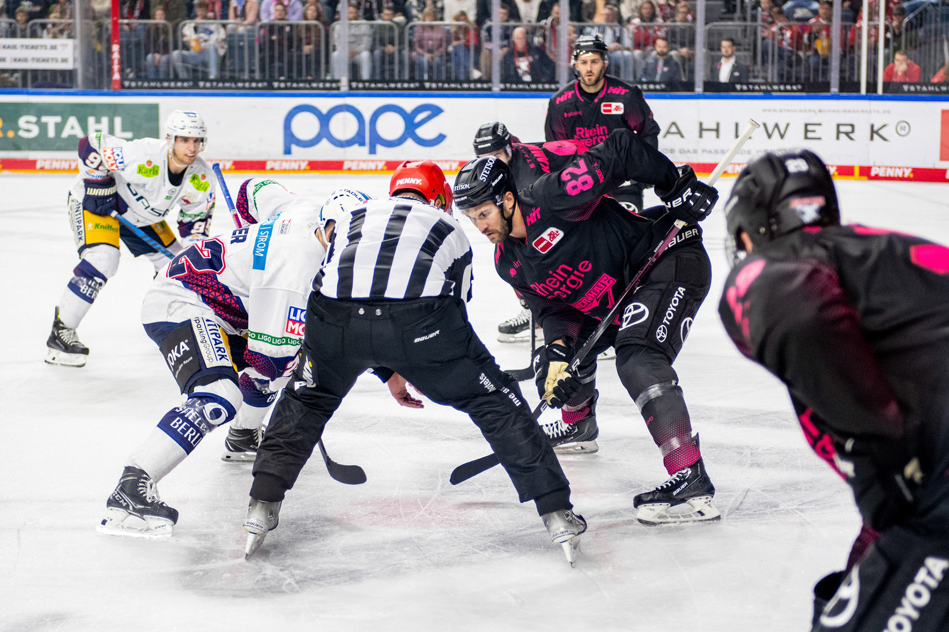 Alexandre Grenter; DEL Kölner Haie - Eisbaeren Berlin, 06.10.2023