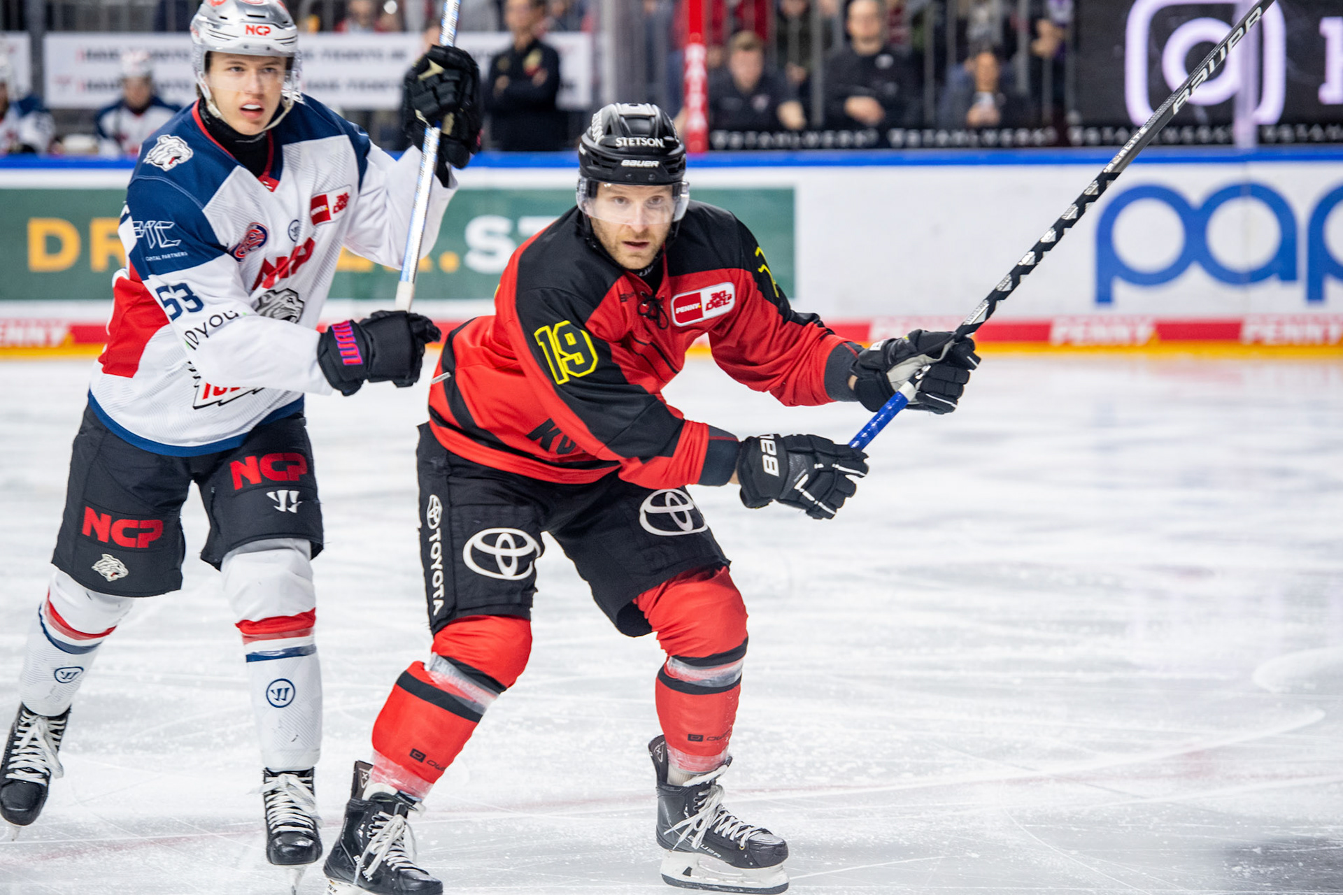 Frederik Storm; DEL Kölner Haie - Nürnberg Ice Tigers, 17.12.2023