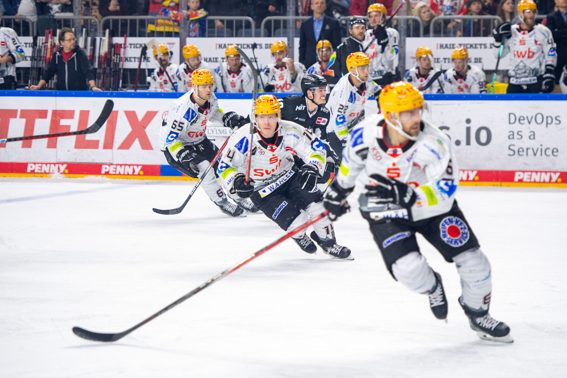 Ross Mauermann; DEL Kölner Haie - Bremerhaven Fischtown Pinguins, 01.11.2023