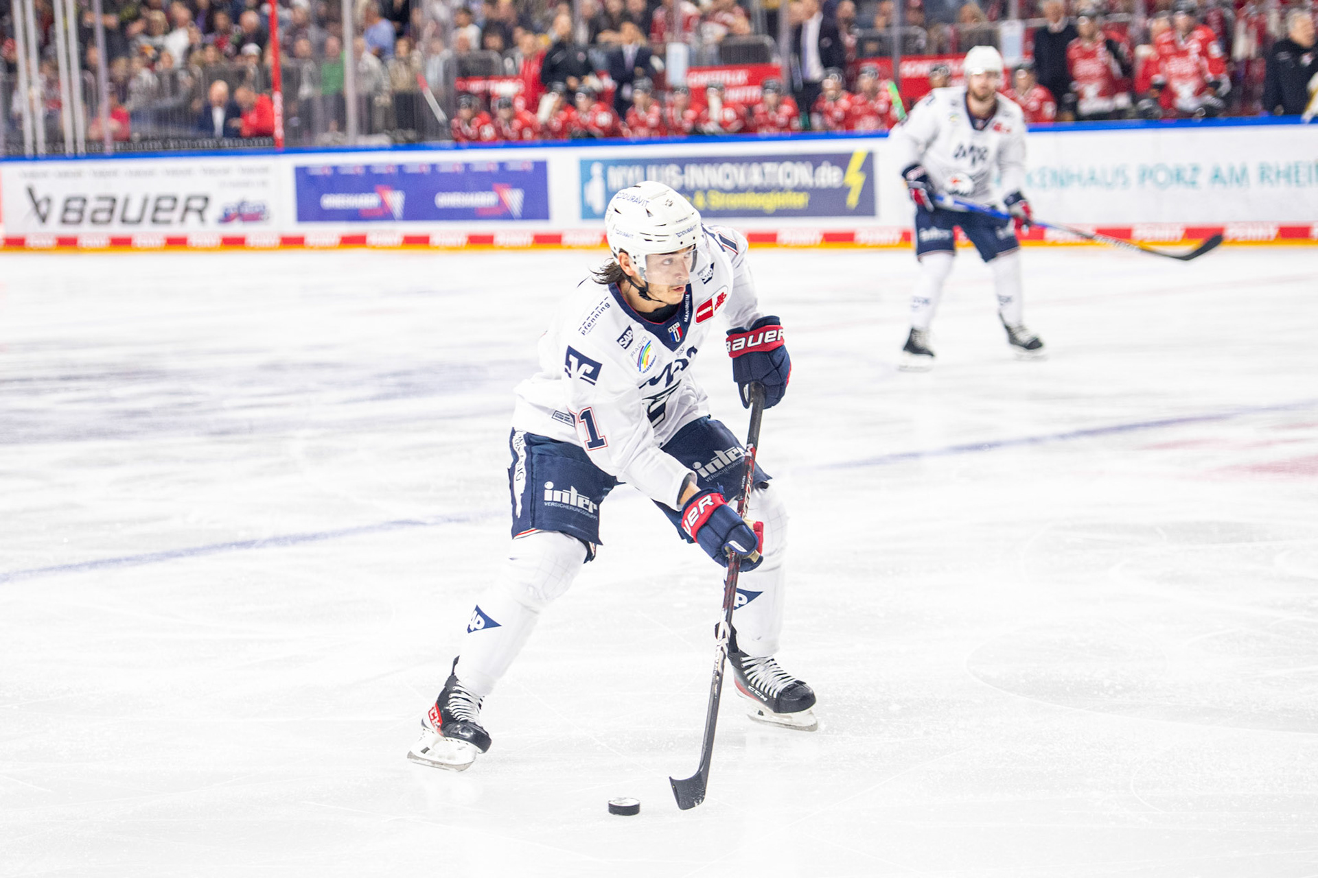 ; DEL Kölner Haie - Adler Mannheim, 30.09.2023