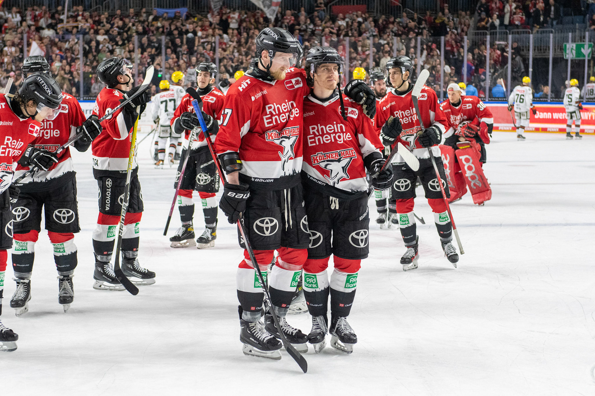Stanislav Dietz feiert den Sieg über die Frankfurter Löwen zuammen mit Gregor Macleod; DEL Kölner Haie - Frankfurter Löwen, 16.02.2024