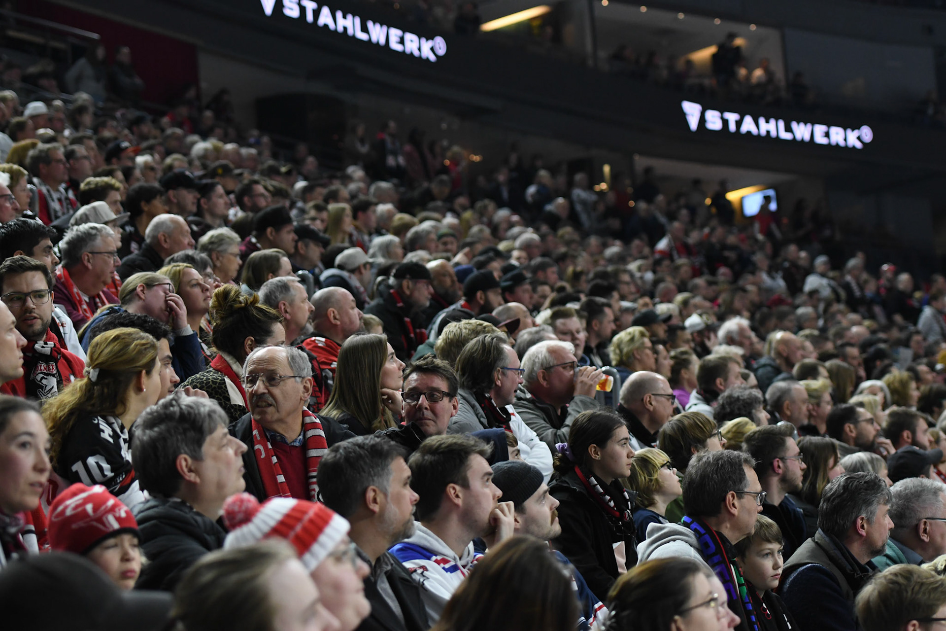 Fans; DEL Kölner Haie - Adler Mannheim, 17.03.2023