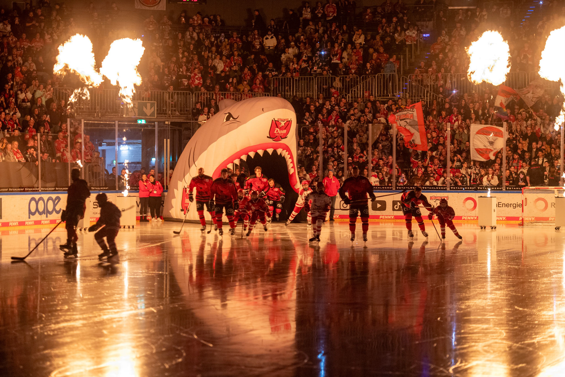 Koelner Haie; DEL Kölner Haie - Nürnberg Ice Tigers, 17.12.2023