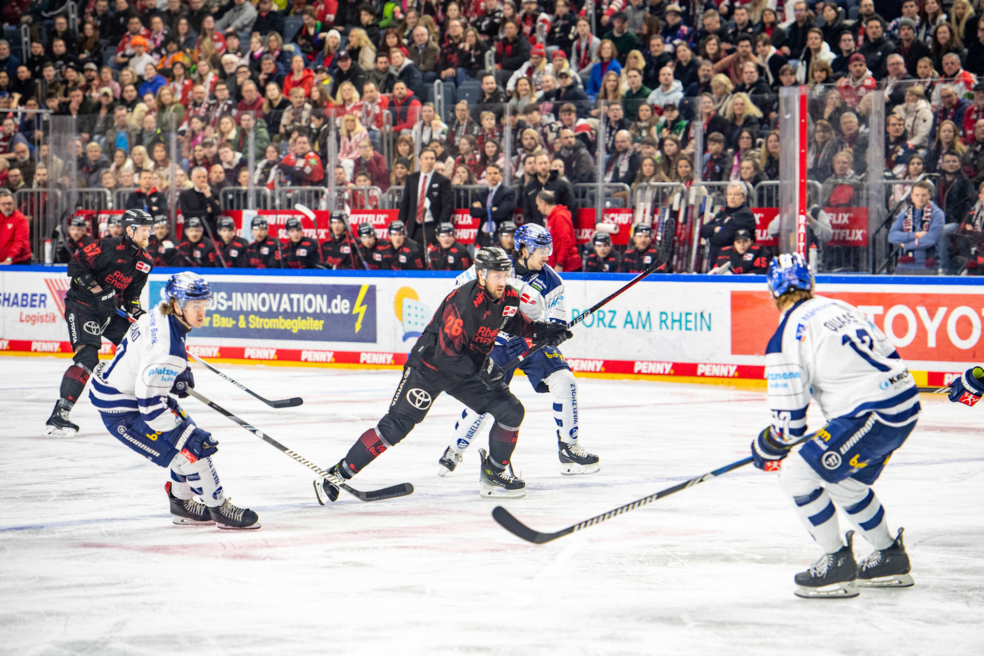 David Mcintyre, Stanislav DietzEmil Quaas; DEL Kölner Haie - Iserlohn Roosters, 13.02.2024