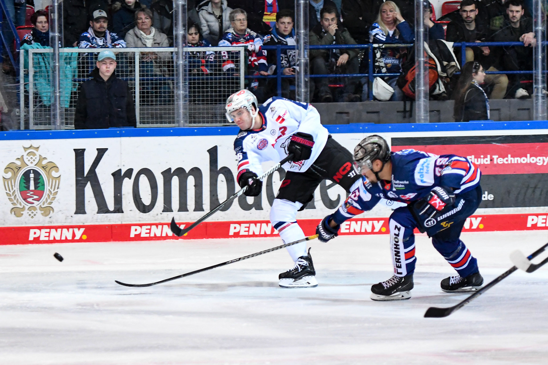 Dennis Lobach 26; DEL Iserlohn Roosters - Nuernberg Ice Tigers 17.02.2023