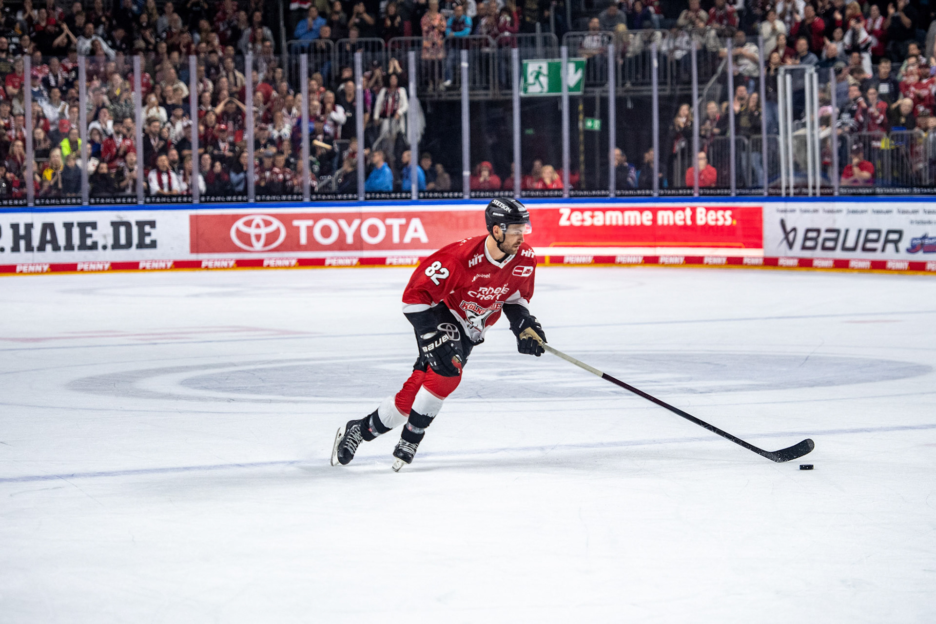 Alexandre Grenter; DEL Kölner Haie - Augsburger Panther, 03.10.2023