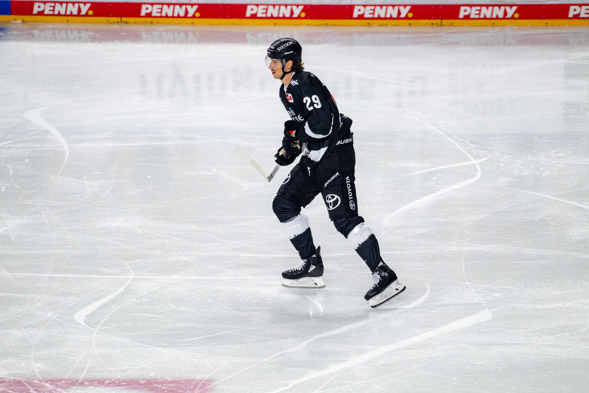 Andrej Sustr; DEL Kölner Haie - Bremerhaven Fischtown Pinguins, 01.11.2023