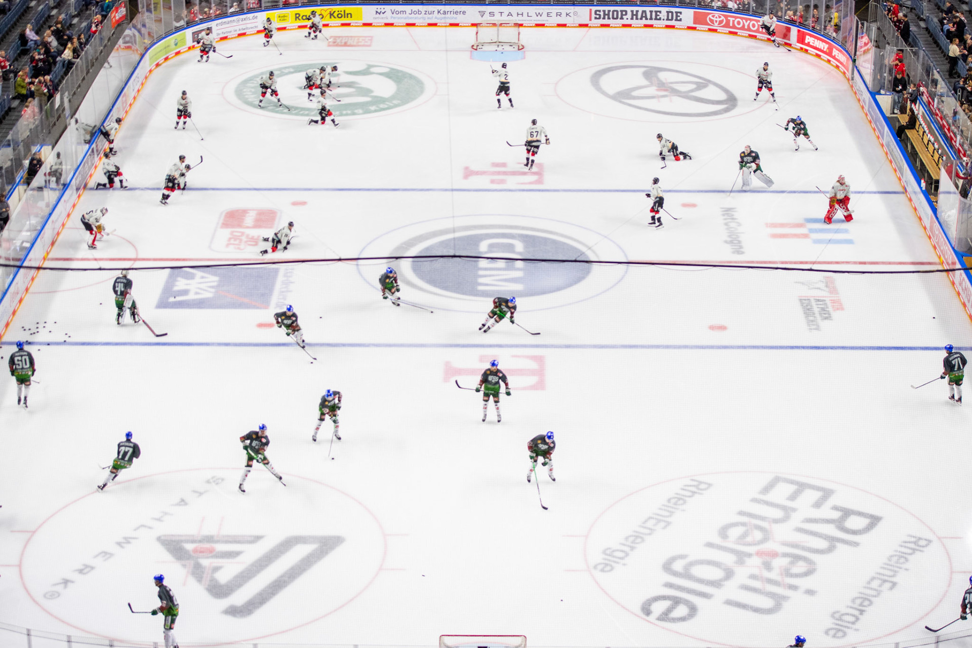 Koelner Haie vs Augsburger Panther; DEL Kölner Haie - Augsburger Panther, 19.11.2023