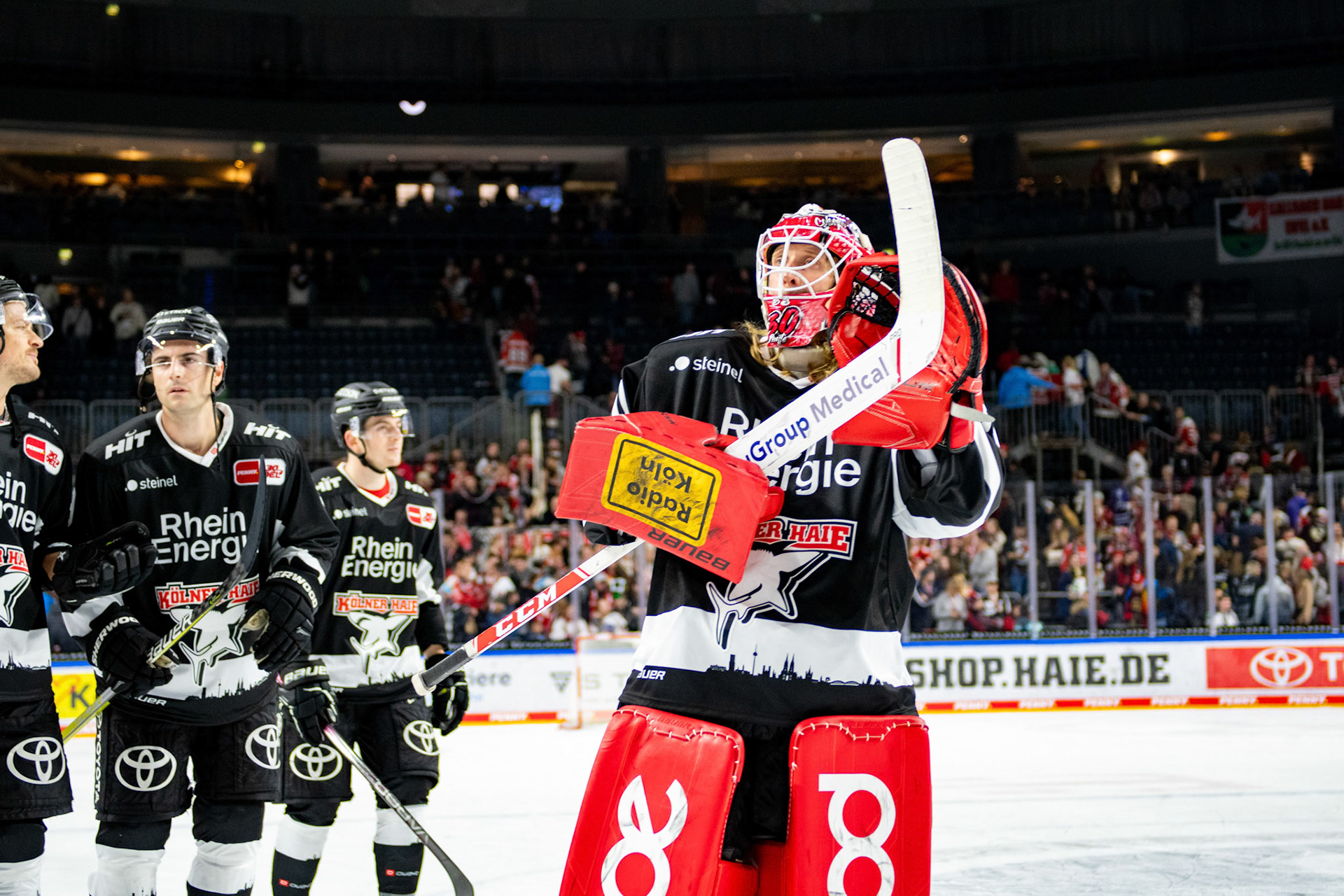 Mirko Pantkowski; DEL Kölner Haie - Bremerhaven Fischtown Pinguins, 01.11.2023