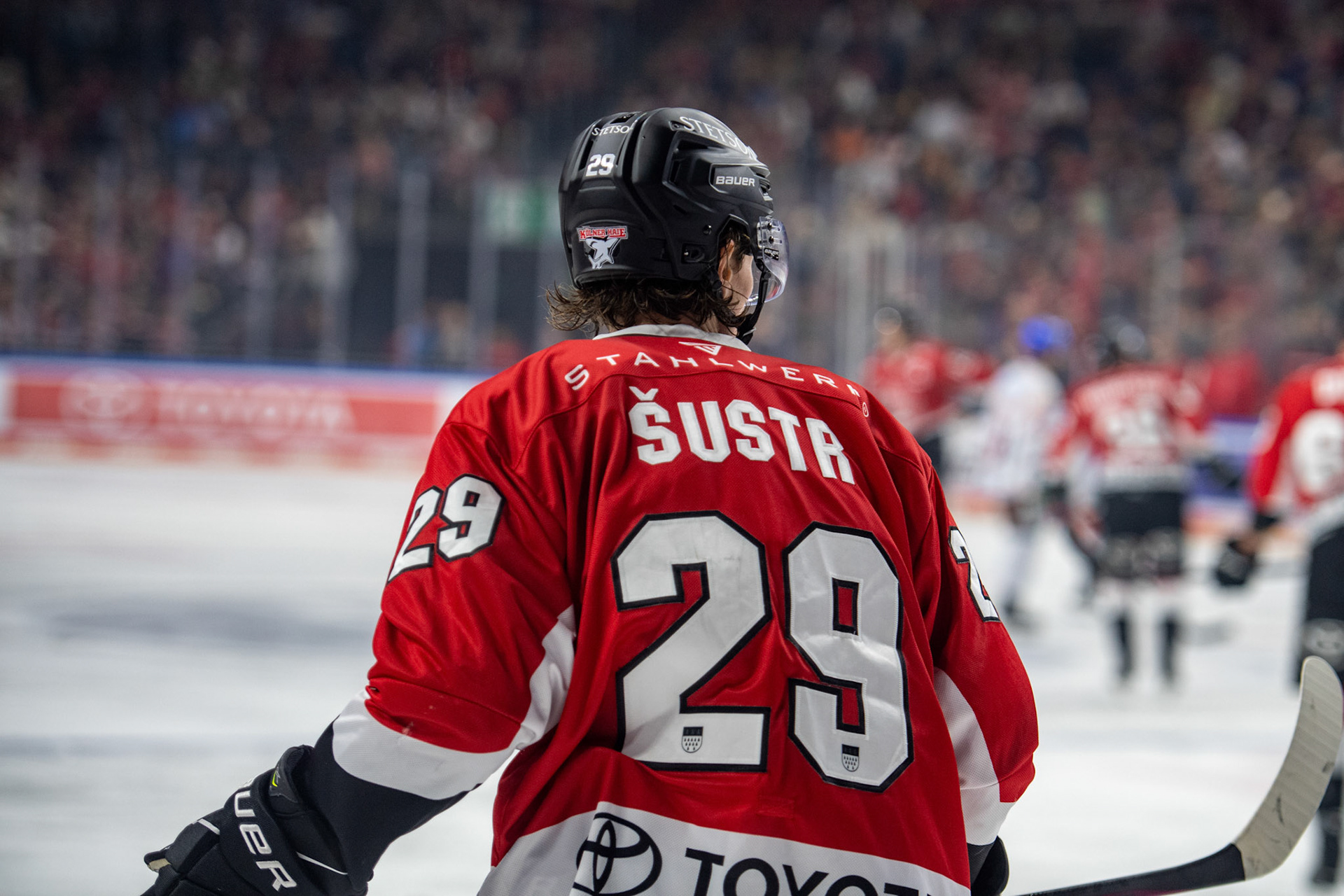 Andrej Sustr; DEL Kölner Haie - Augsburger Panther, 03.10.2023