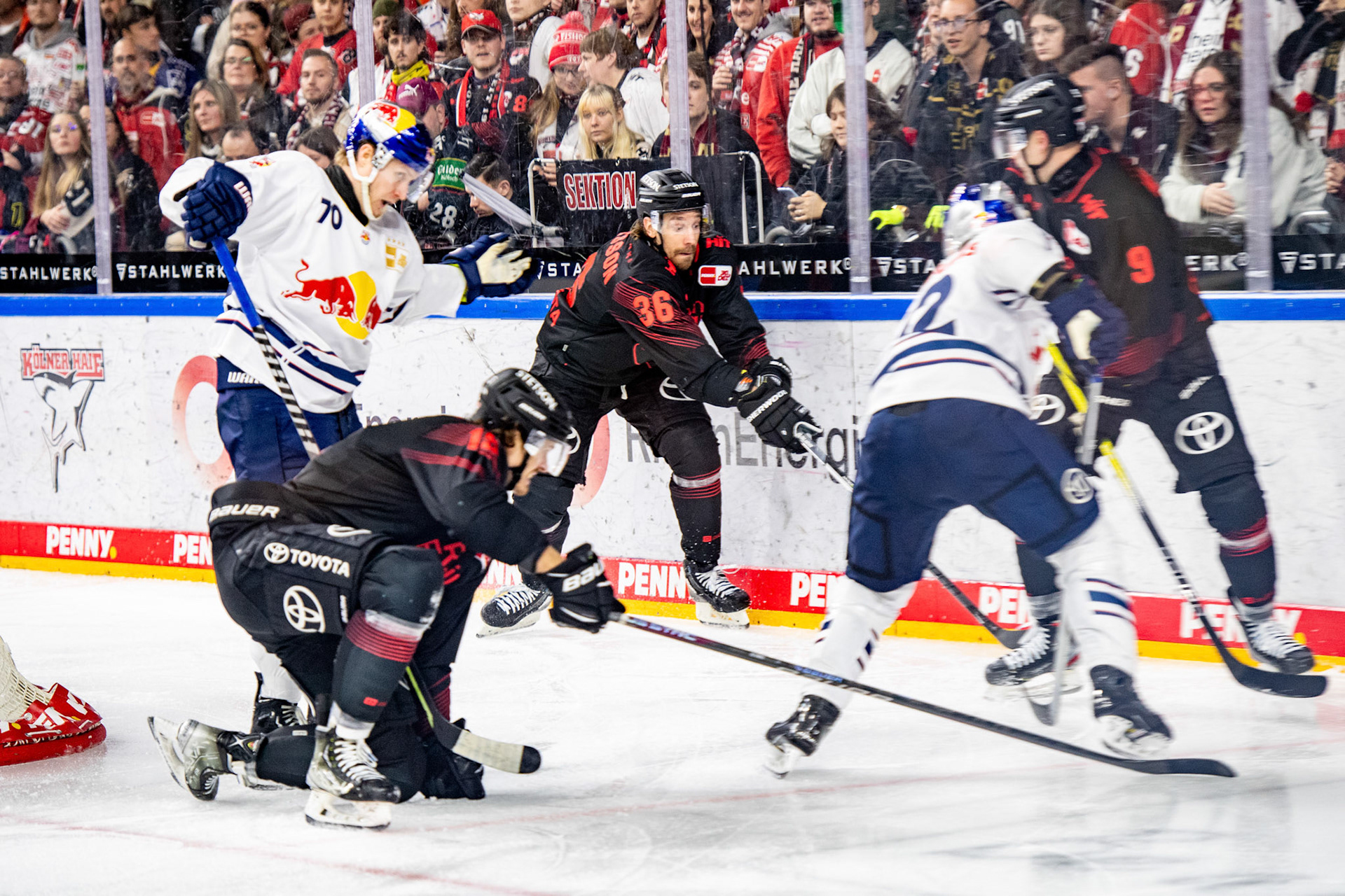 Andreas Thuresson im Zweikampf mit Maximilian Daubner; DEL Kölner Haie - EHC Red Bull München, 05.01.2024