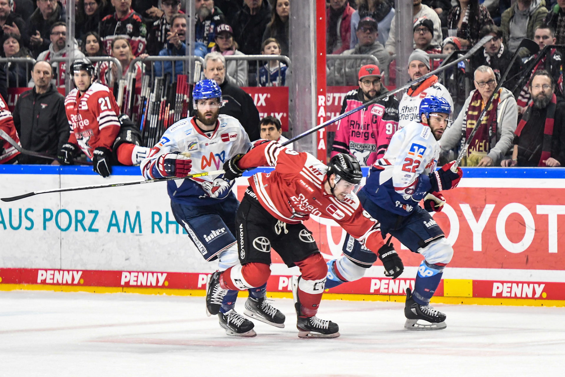 Maximilian Kammerer; DEL Kölner Haie - Adler Mannheim, 17.03.2023