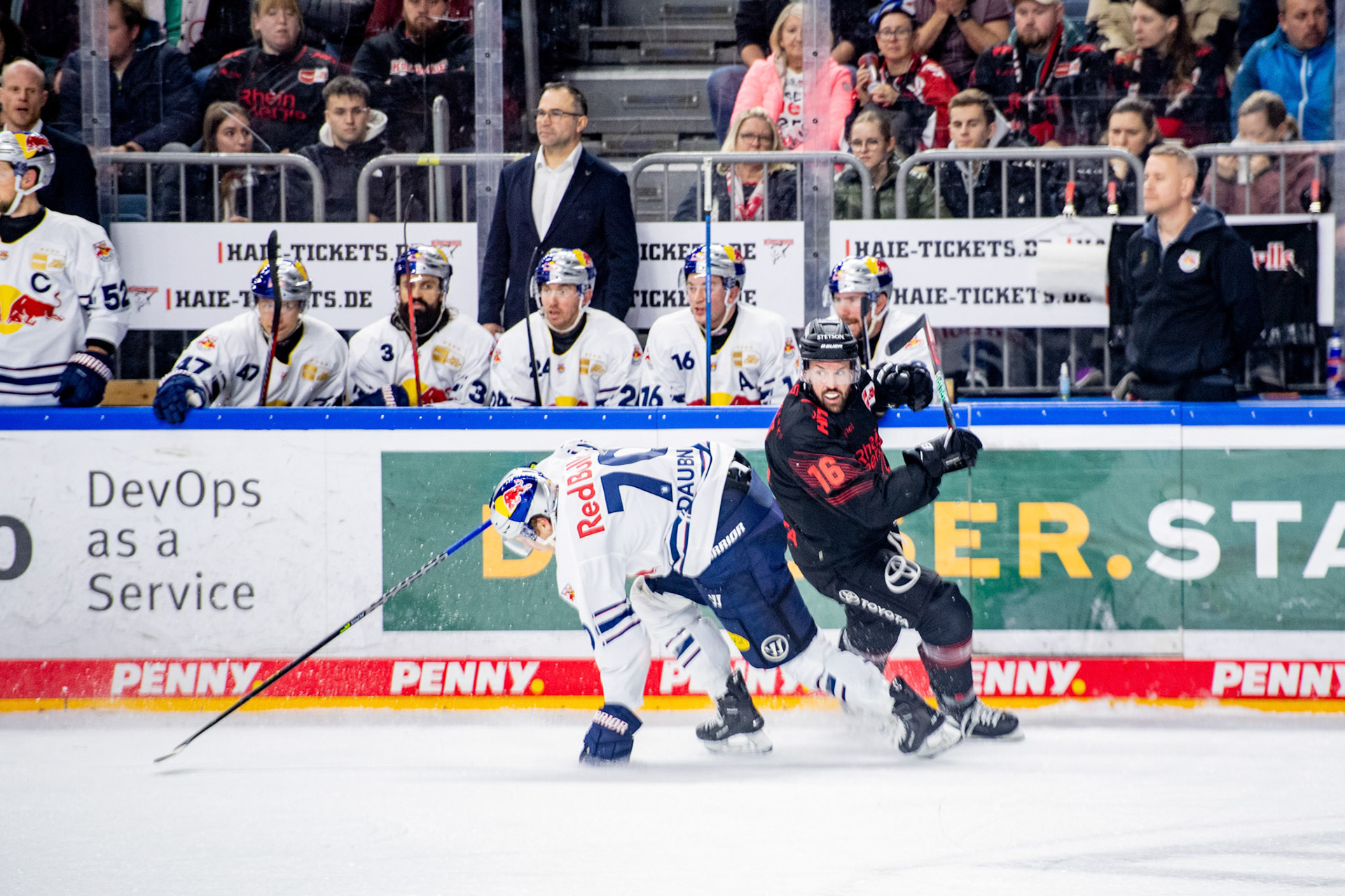 Jason Bast im Zweikampf mit Maximilian Daubner; DEL Kölner Haie - EHC Red Bull München, 05.01.2024