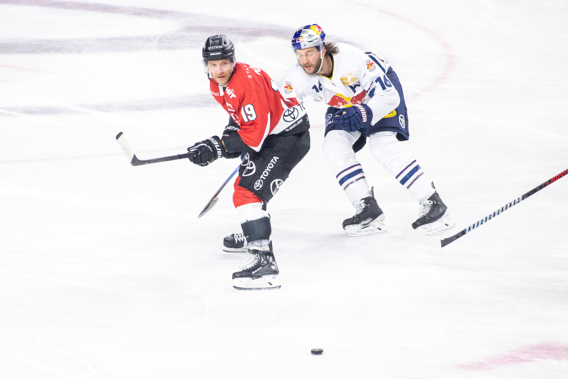 Frederik Storm im Zweikampf mit Konrad Abeltshauser; DEL Kölner Haie - EHC Red Bull München, 27.10.2023