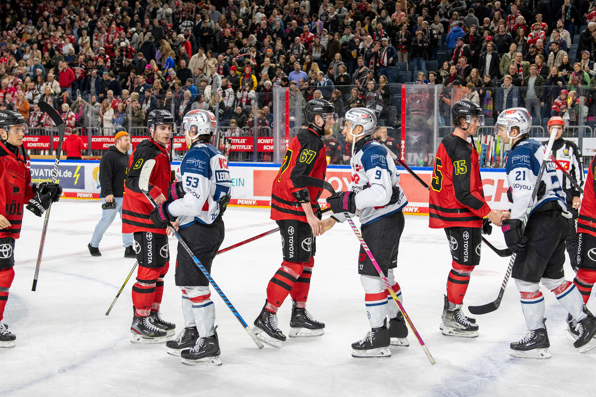 Koelner Haie; DEL Kölner Haie - Nürnberg Ice Tigers, 17.12.2023