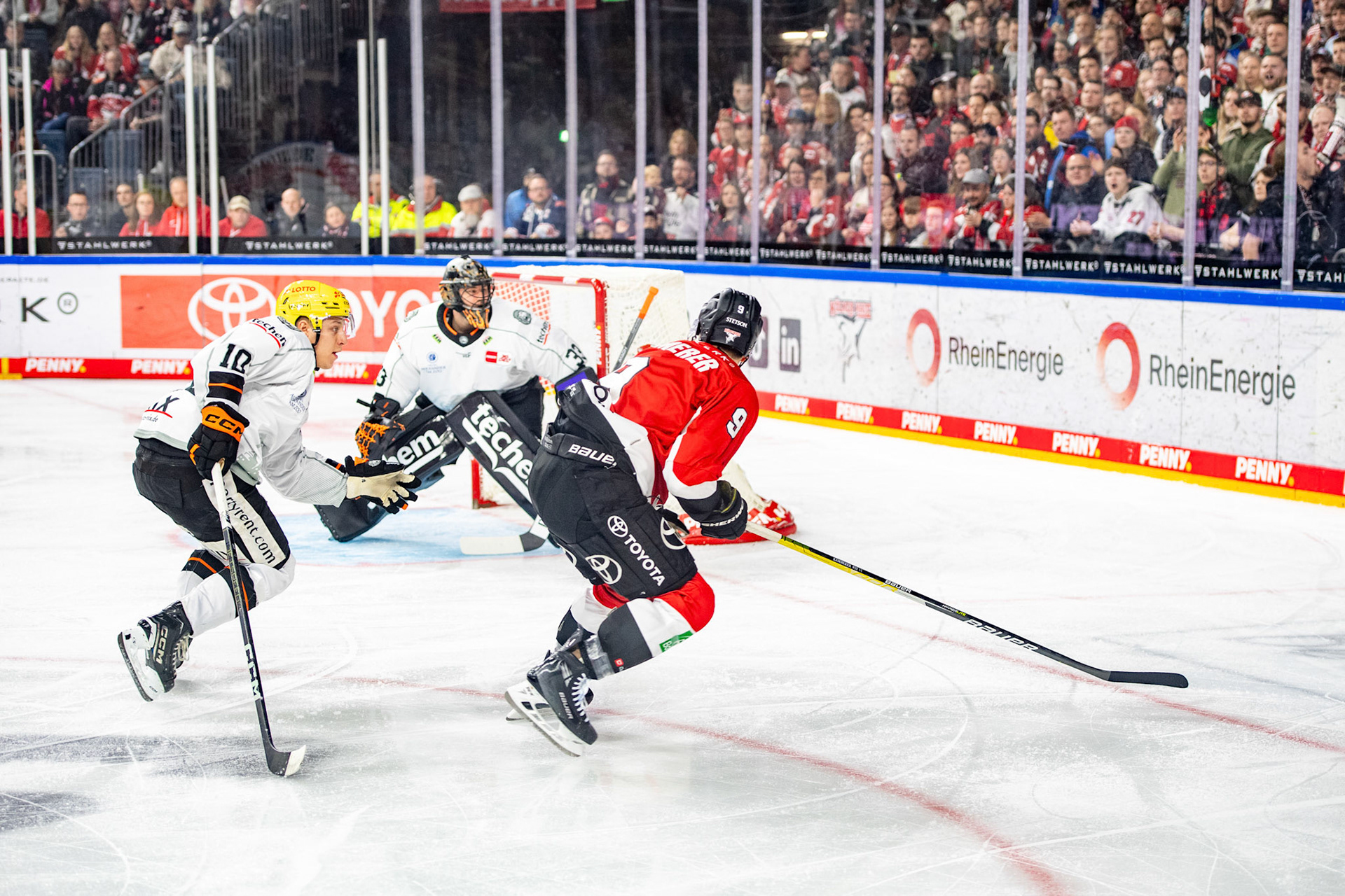 Maximilian Kammerer im Zweikampf mit Simon Gnyp; DEL Kölner Haie - Frankfurter Löwen, 16.02.2024