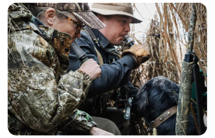 A man and a woman in camouflage hunting gear actively blowing waterfowl calls inside a natural grass blind, sitting next to a black retrieving dog and a resting shotgun.