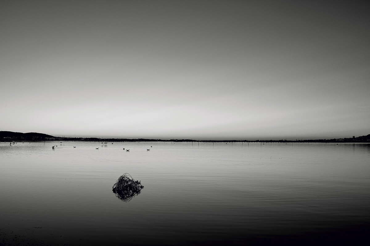 La lagune de Thau
