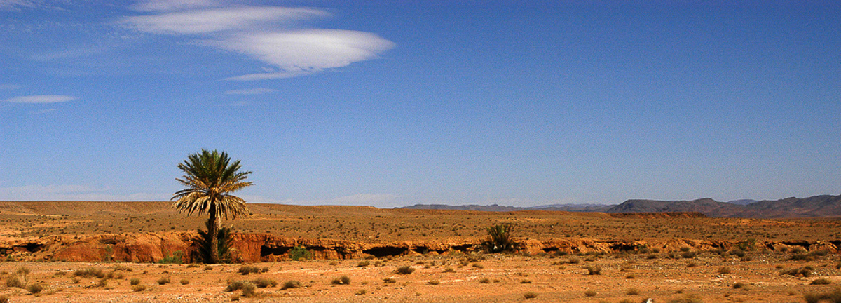 Red desert #2