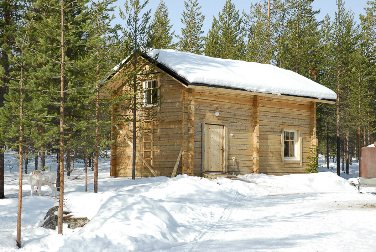 Cabane des mushers