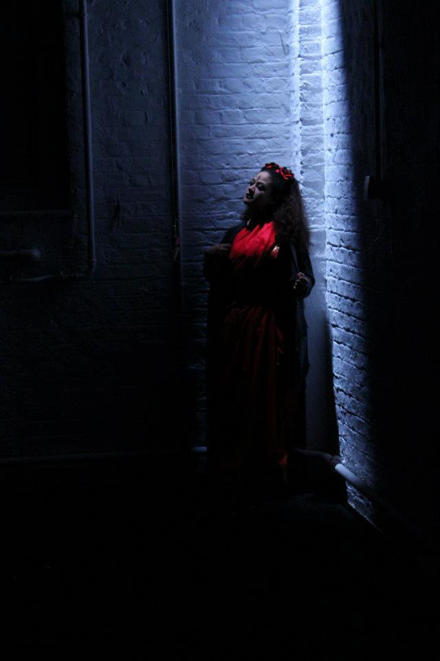 Hidden in Plain Sight (2013)