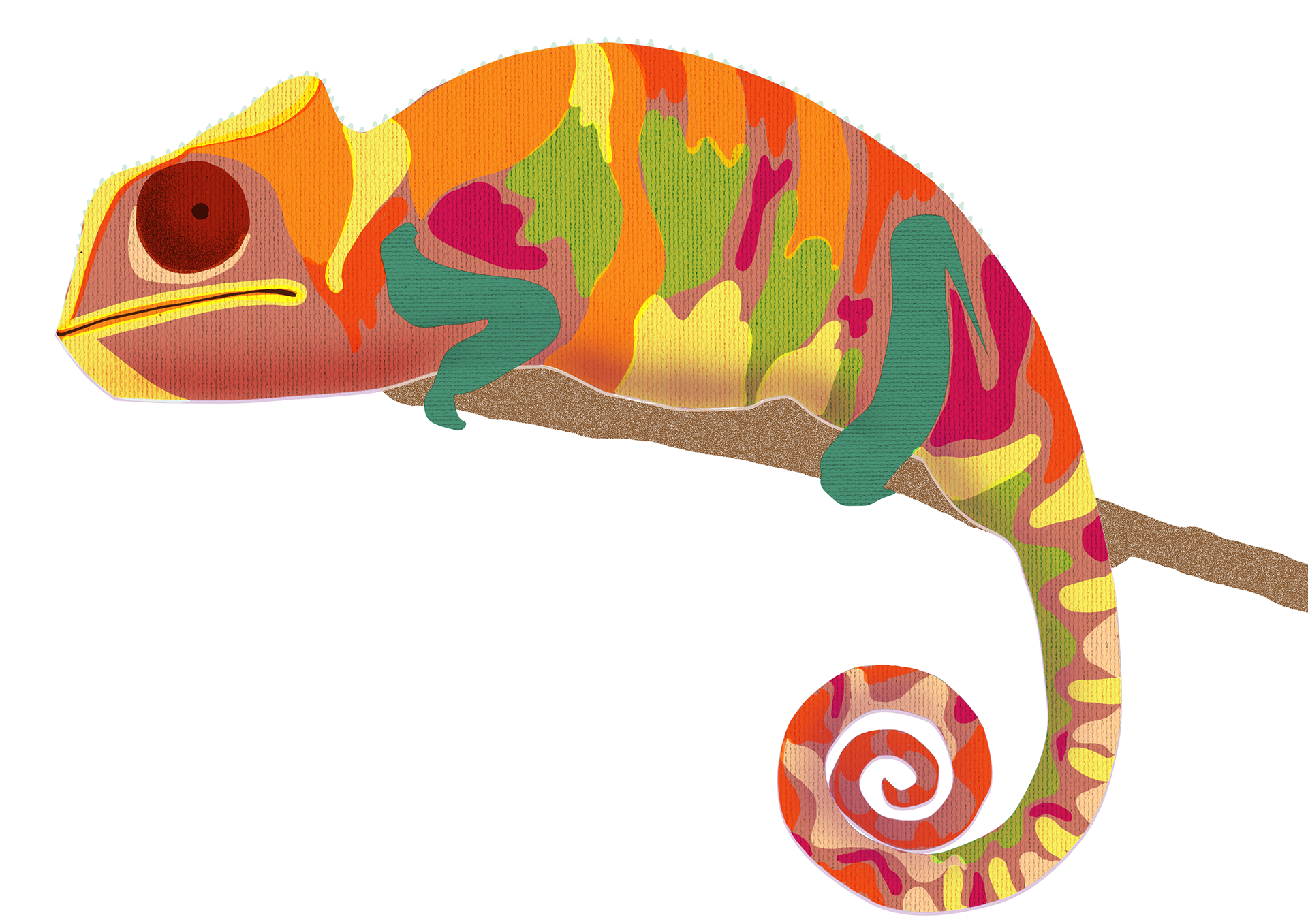 chameleon logo © silviasardellaro.com property of Silvia Sardellaro