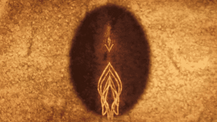 What Happens Inside The Microscope’s Lens?