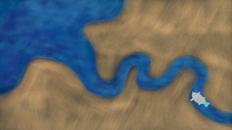 The River Is Connected to the Ocean