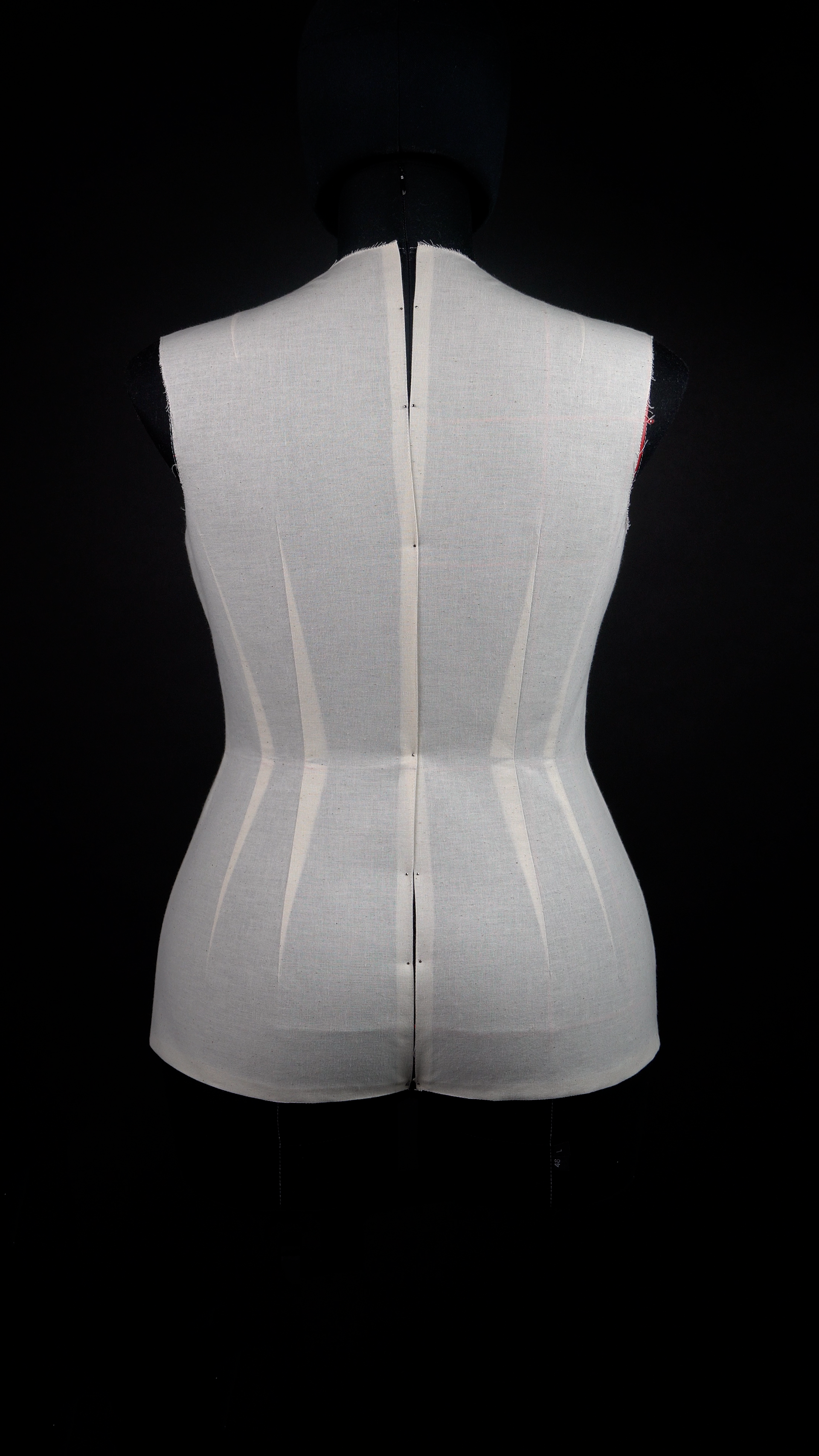 Torso Back