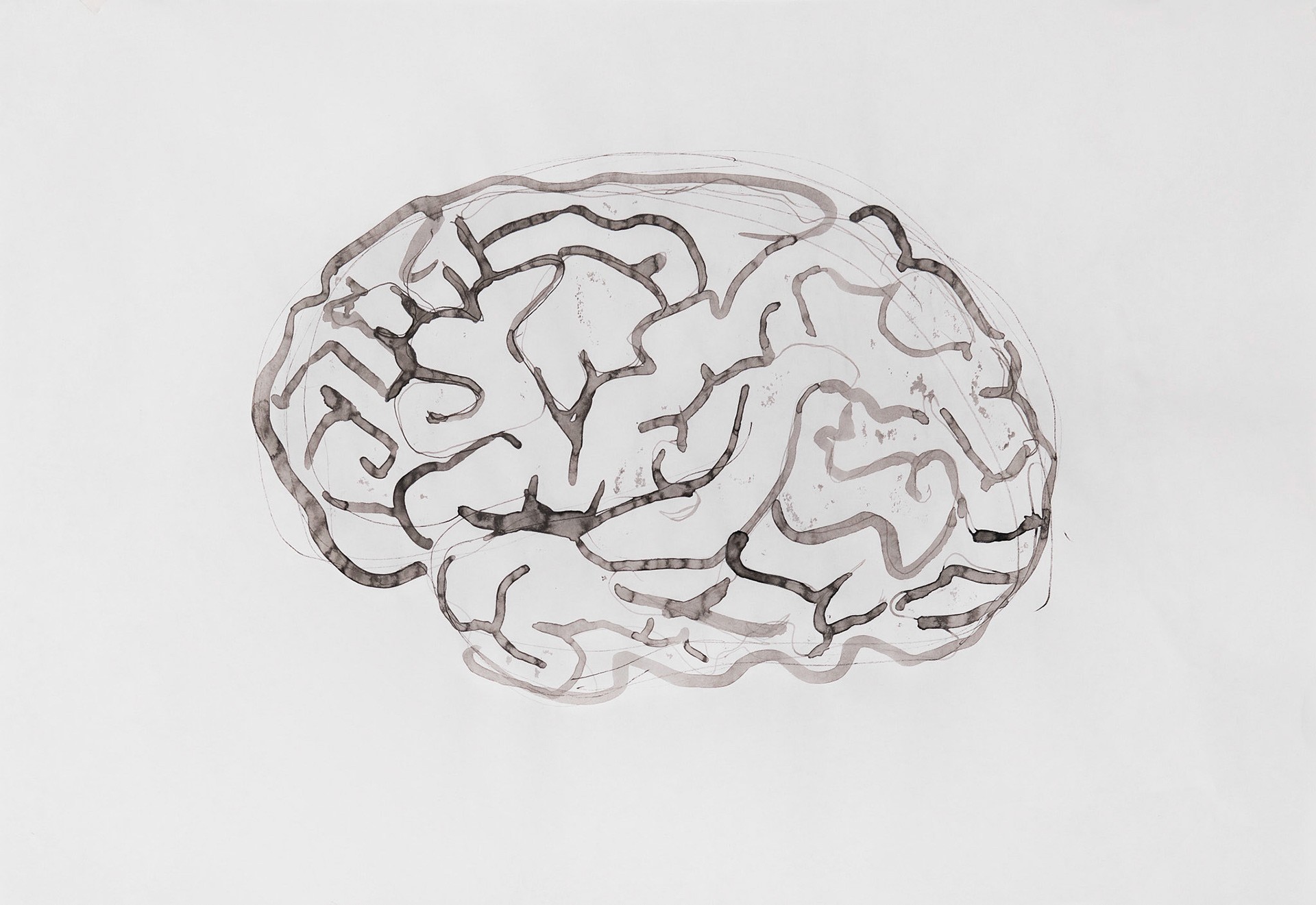 BRAIN #2 Ink on paper 45 x 30 cm ( 17,7 x 11,8 in.)