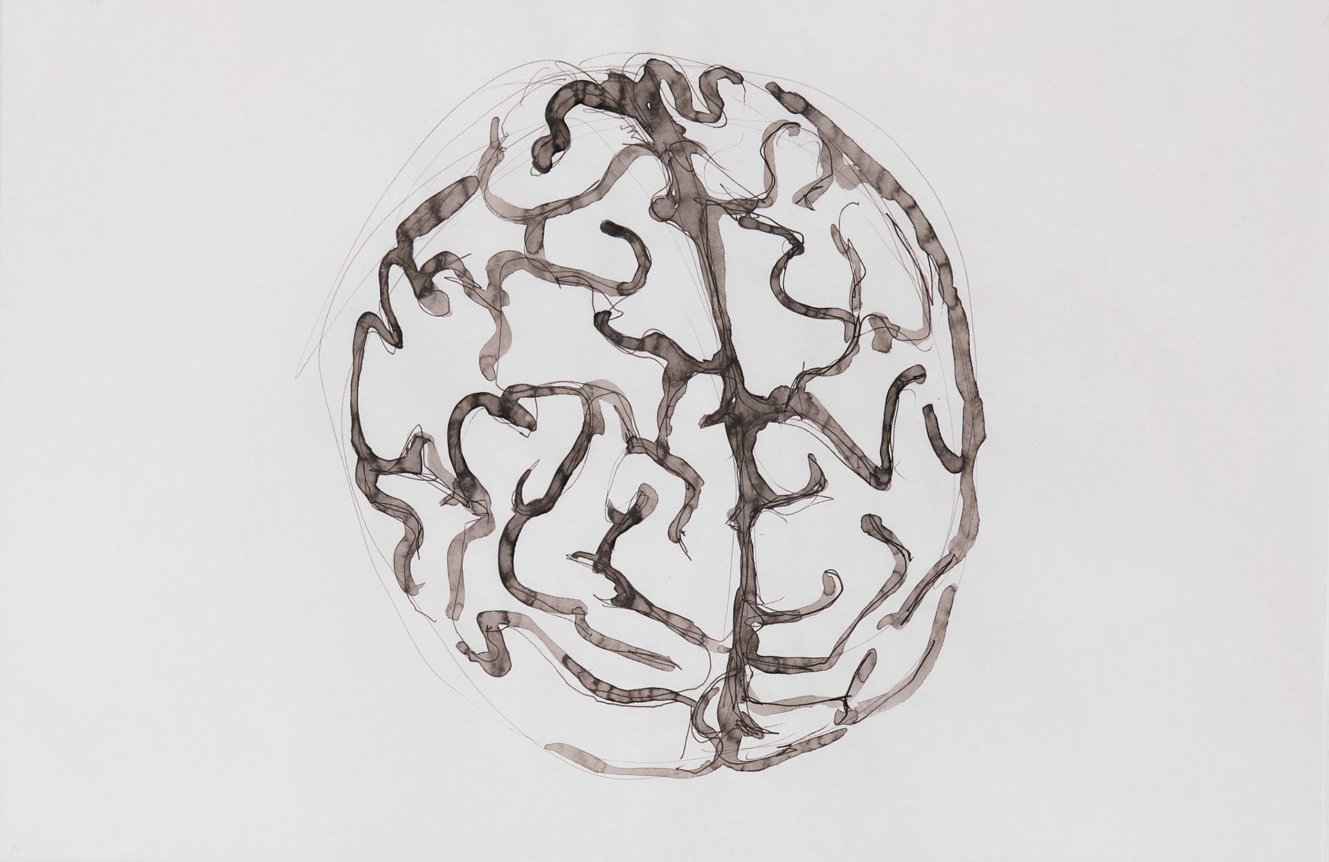 BRAIN #3 Ink on paper 45 x 30 cm ( 17,7 x 11,8 in.)