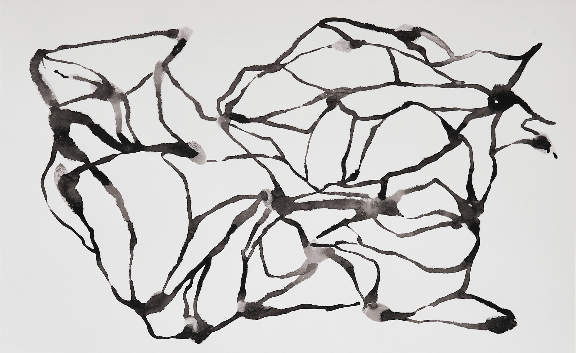 MIND PATH #5 Ink on paper 49 x 31 cm ( 19,2 x 12,2 in.)